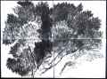 Dans les arbres|2011, fusain sur papier marouflé, 214 x 156 cm