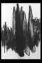 La brisure du jour|2016, Lavis à l'encre de chine et fusain, 150 x 105 cm
