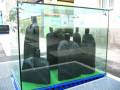 |<b>« Vitrine 2 »</b><br>150 x 135 x 110 cm<br>
Chêne, huile de lin sous vide